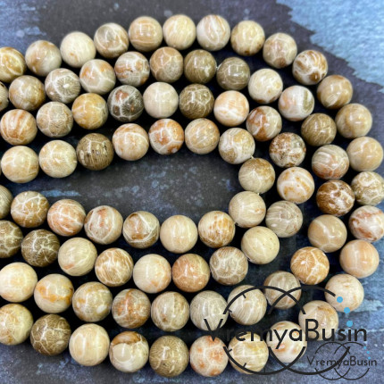 Коралл натуральный окаменелый, бусина шарик гладкий 10 мм (1 шт.)