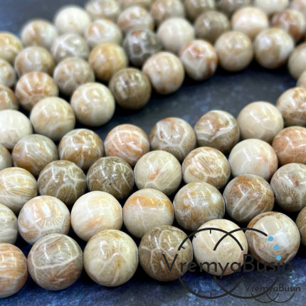 Коралл натуральный окаменелый, бусина шарик гладкий 10 мм (1 шт.)