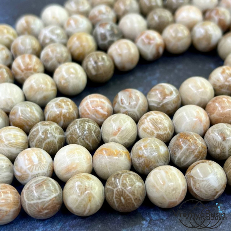 Коралл натуральный окаменелый, бусина шарик гладкий 10 мм (1 шт.)