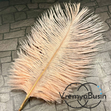 Перо страуса, ок. 15-20 см, цв.     персиковый      (1 шт.)