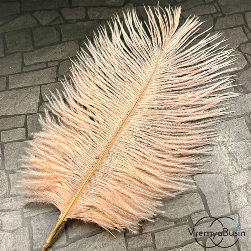 Перо страуса, ок. 15-20 см, цв.     персиковый      (1 шт.)