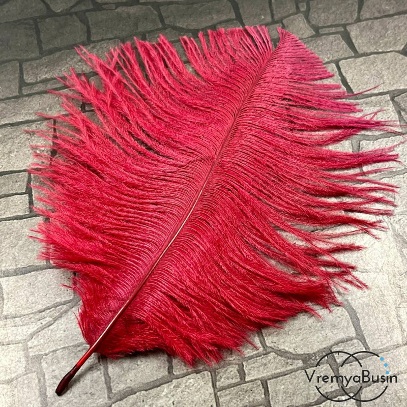 Перо страуса, ок. 15-20 см, цв.       бордовый    (1 шт.)