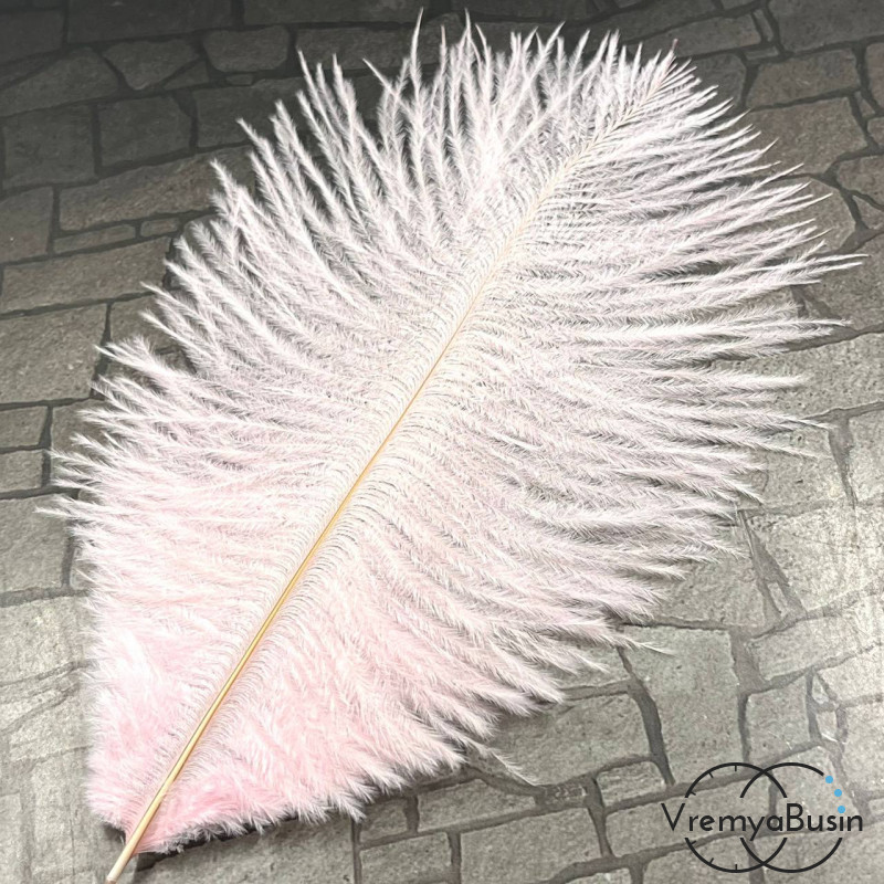 Перо страуса, ок. 15-20 см, цв.     светло-розовый      (1 шт.)