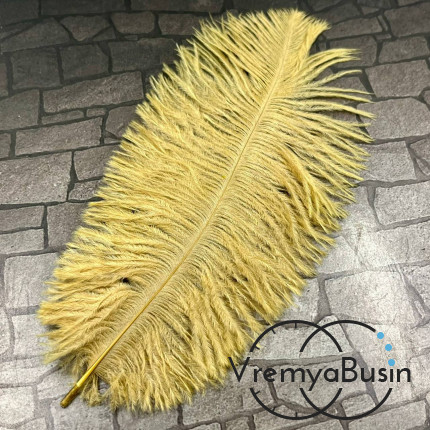 Перо страуса, ок. 15-20 см, цв.       песочный    (1 шт.)