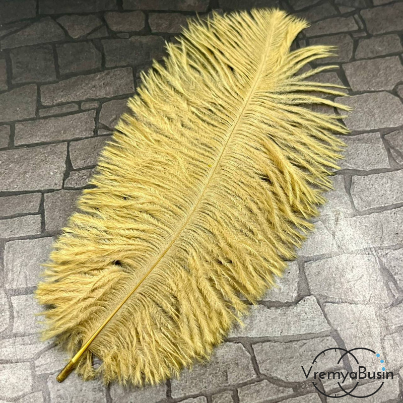Перо страуса, ок. 15-20 см, цв.       песочный    (1 шт.)