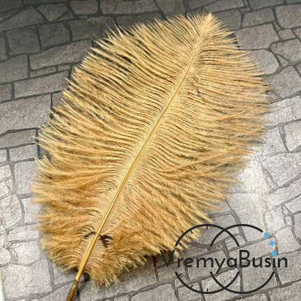 Перо страуса, ок. 15-20 см, цв.       бежевый    (1 шт.)