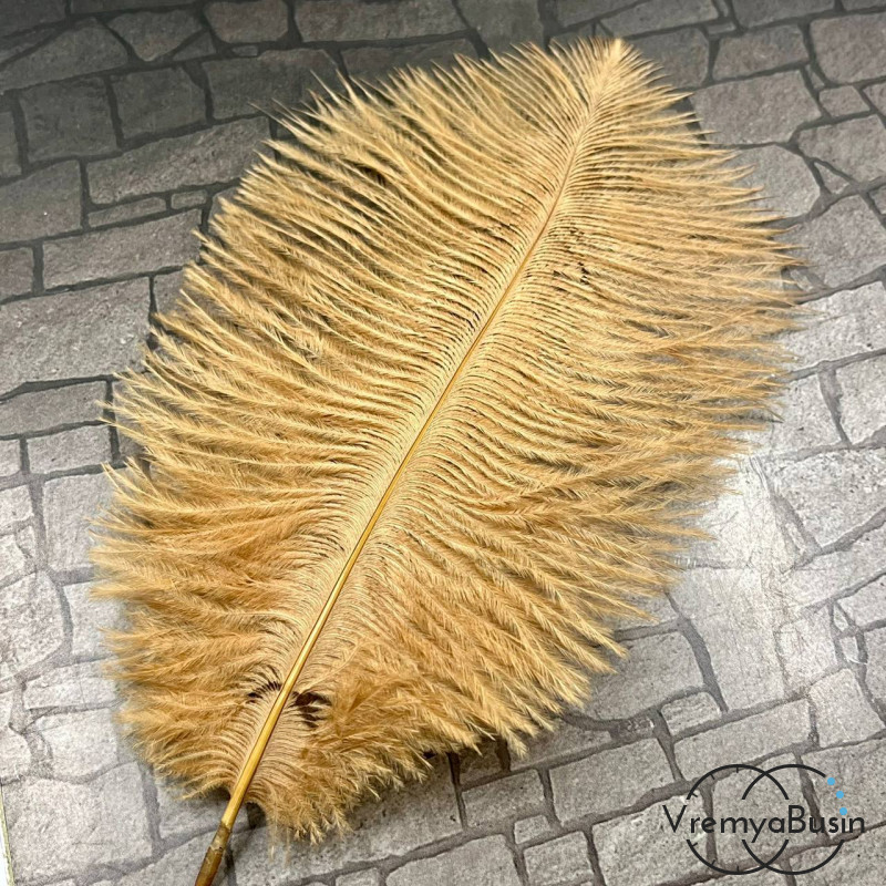 Перо страуса, ок. 15-20 см, цв.       бежевый    (1 шт.)