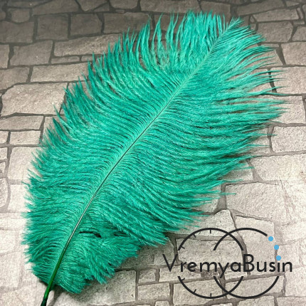 Перо страуса, ок. 15-20 см, цв.    изумрудный       (1 шт.)