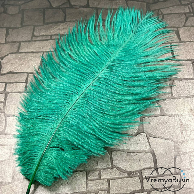 Перо страуса, ок. 15-20 см, цв.    изумрудный       (1 шт.)