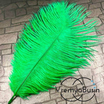 Перо страуса, ок. 15-20 см, цв.     зеленый      (1 шт.)