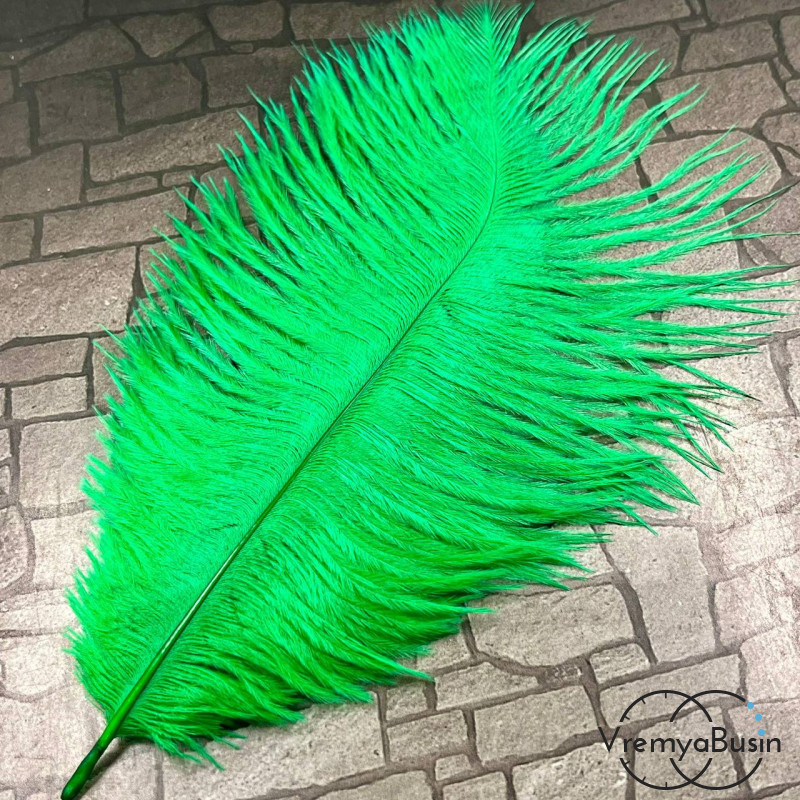 Перо страуса, ок. 15-20 см, цв.     зеленый      (1 шт.)
