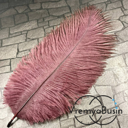 Перо страуса, ок. 15-20 см, цв.    винный       (1 шт.)