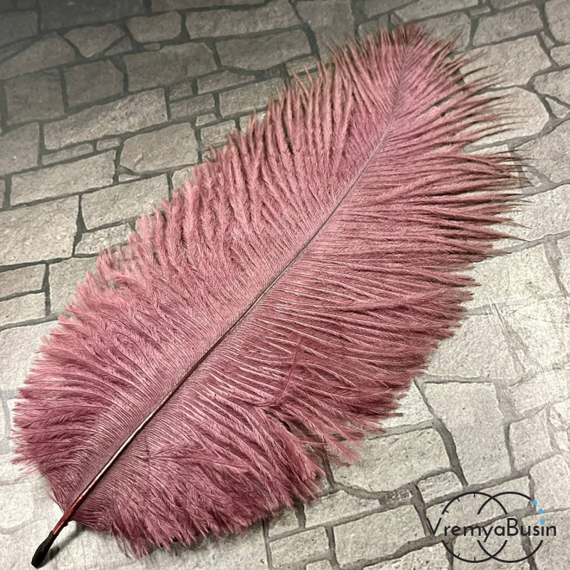 Перо страуса, ок. 15-20 см, цв.    винный       (1 шт.)