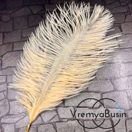 Перо страуса, ок. 15-20 см, цв.    кремовый       (1 шт.)