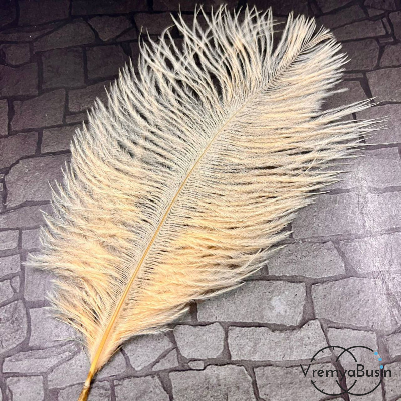 Перо страуса, ок. 15-20 см, цв.    кремовый       (1 шт.)