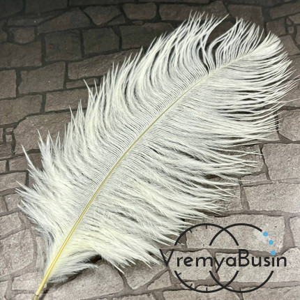 Перо страуса, ок. 15-20 см, цв.     белый      (1 шт.)