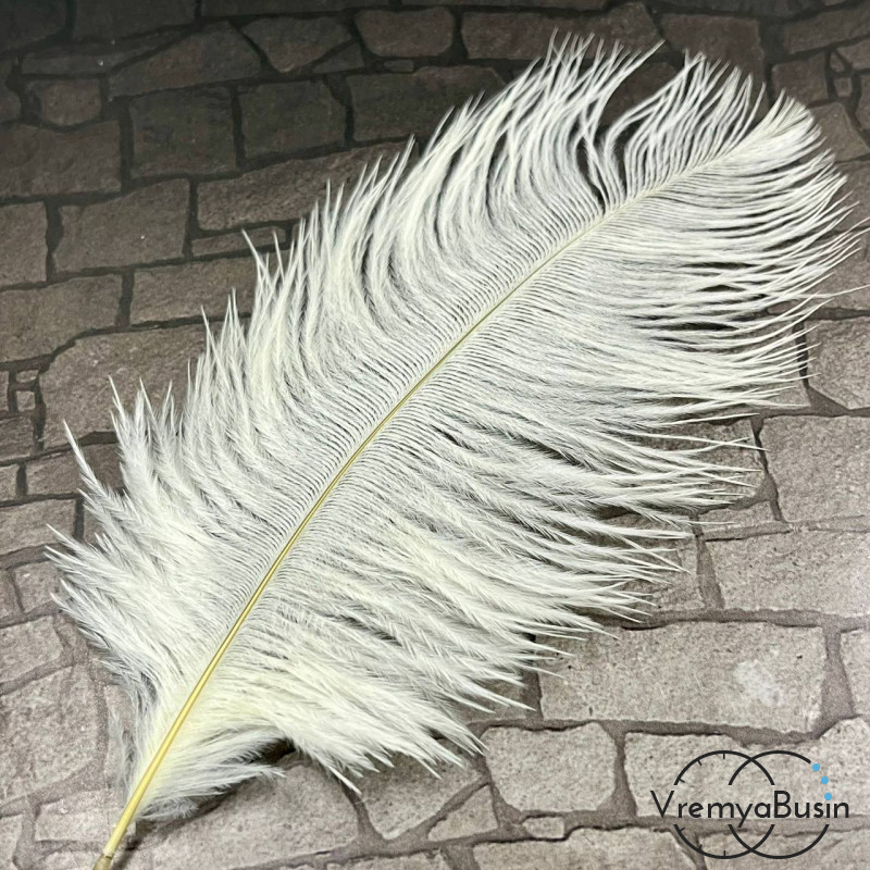 Перо страуса, ок. 15-20 см, цв.     белый      (1 шт.)