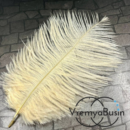 Перо страуса, ок. 15-20 см, цв.         топленое молоко  (1 шт.)