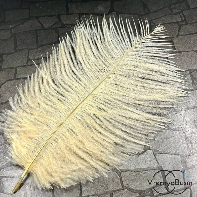 Перо страуса, ок. 15-20 см, цв.         топленое молоко  (1 шт.)