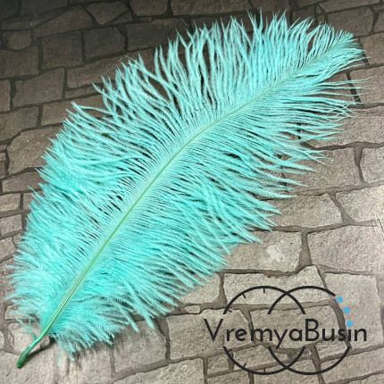 Перо страуса, ок. 15-20 см, цв.      мятный     (1 шт.)