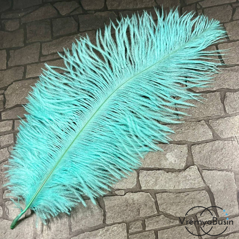 Перо страуса, ок. 15-20 см, цв.      мятный     (1 шт.)