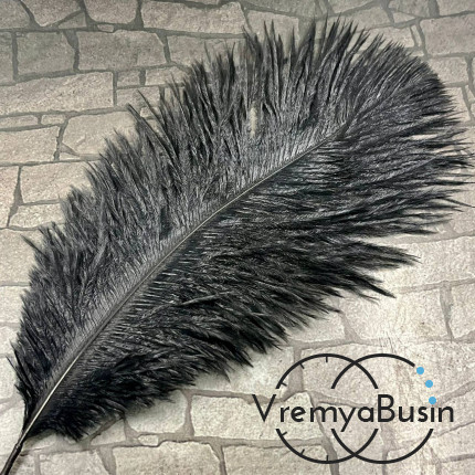 Перо страуса, ок. 15-20 см, цв.       черный    (1 шт.)