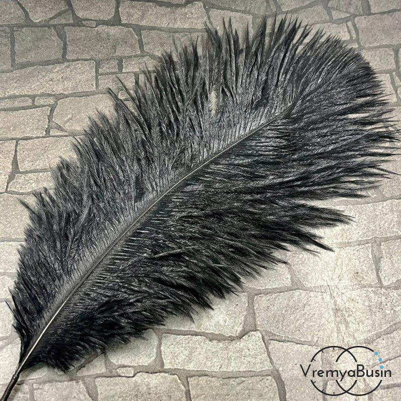 Перо страуса, ок. 15-20 см, цв.       черный    (1 шт.)