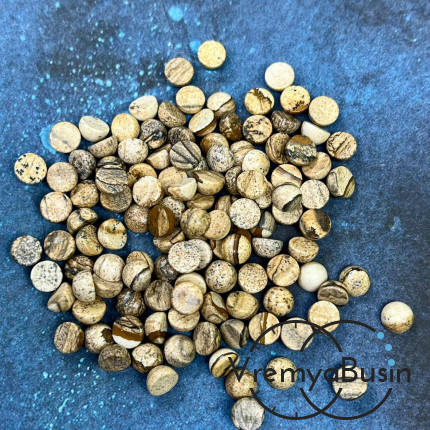 Яшма пейзажная, кабошон круглый 6 мм (упак. 10 шт.)