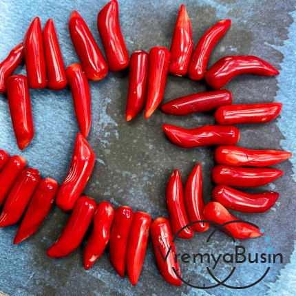 Коралл натур., бусины длинные перчики, ок. 30-40х8 мм, цв. красный (1/2 нити, ок. 22 шт.)