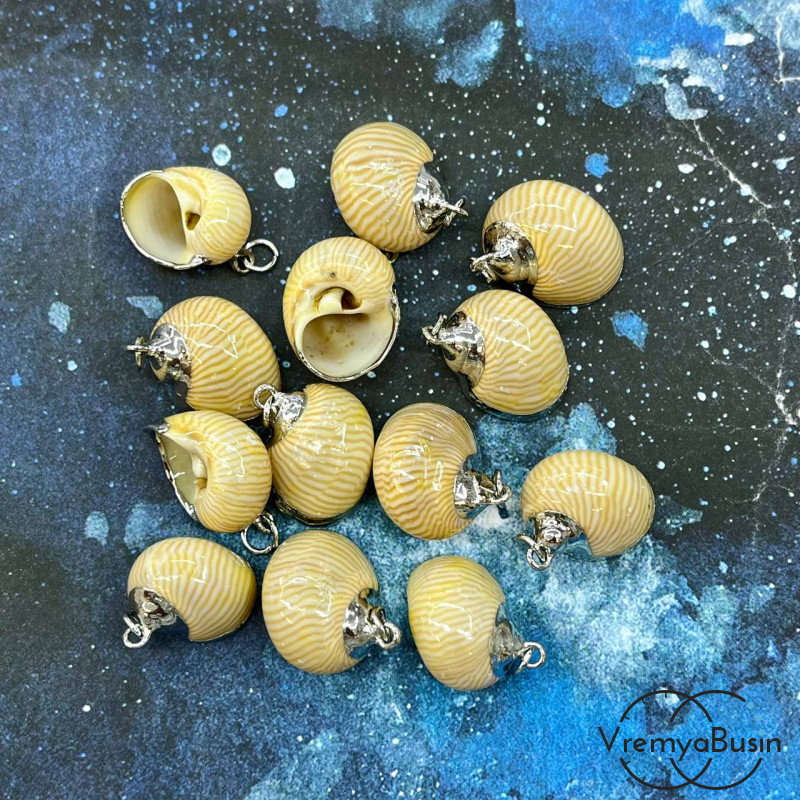 Подвеска "Ракушка" натуральная,  в металле цв. серебро (1 шт.)