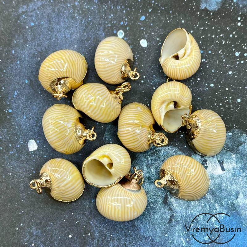 Подвеска "Ракушка" натуральная,  в металле цв. золото (1 шт.)