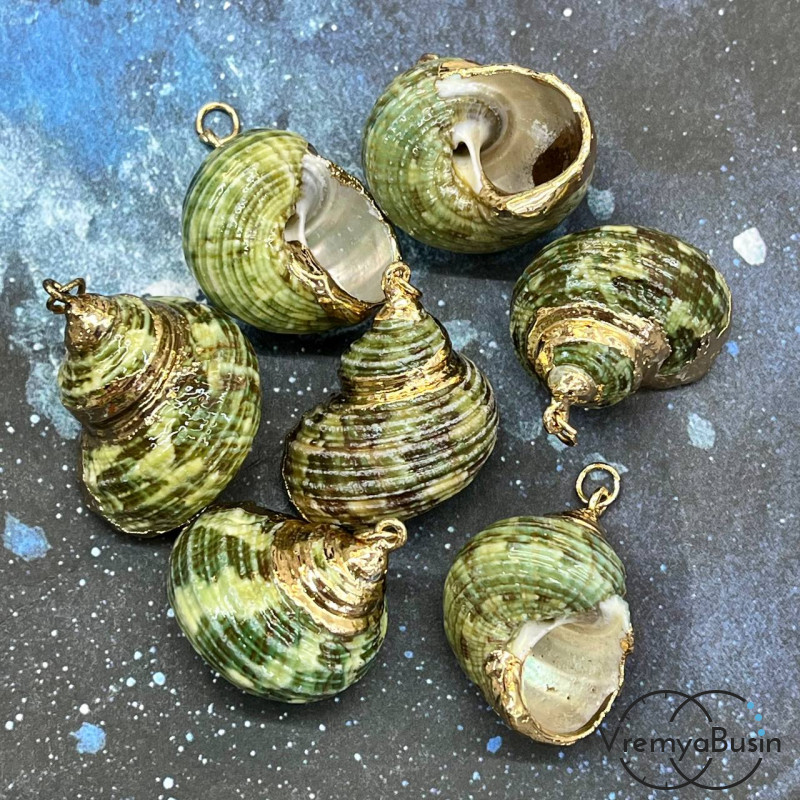 Подвеска "Ракушка" натуральная,  в металле цв. золото (1 шт.)