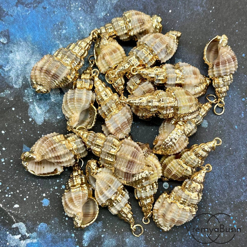 Подвеска "Ракушка" натуральная,  в металле цв. золото (1 шт.)