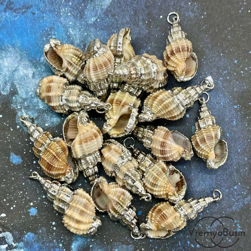 Подвеска "Ракушка" натуральная,  в металле цв. серебро (1 шт.)