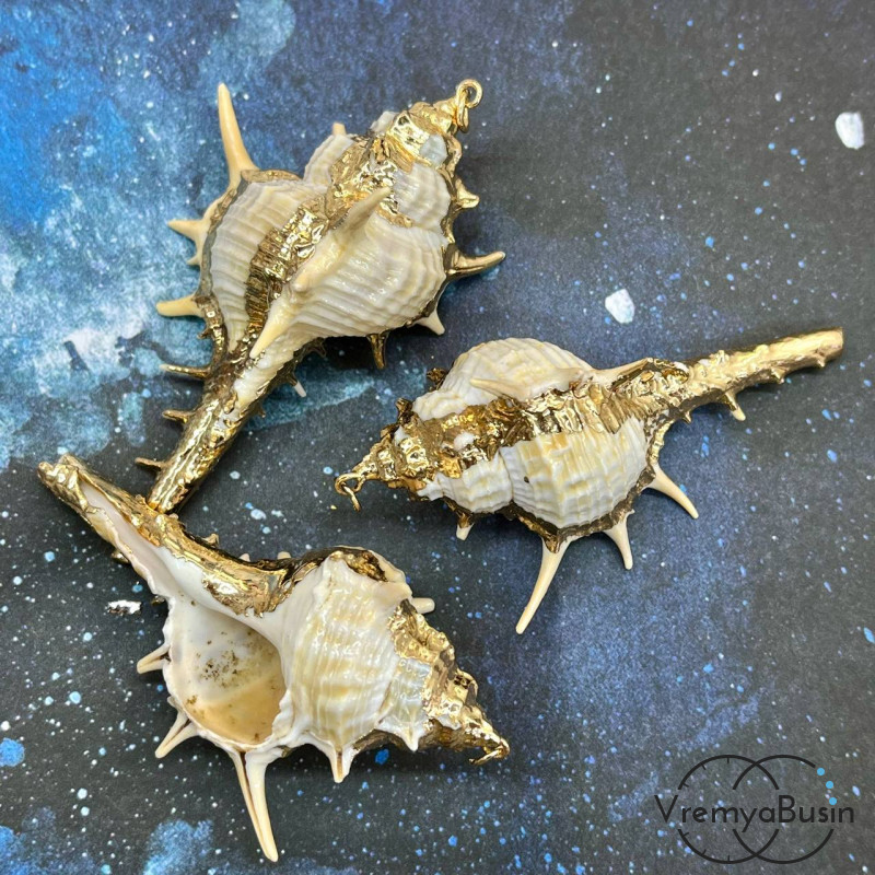 Подвеска "Ракушка" натуральная,  в металле цв. золото (1 шт.)