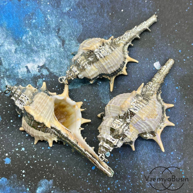 Подвеска "Ракушка" натуральная,  в металле цв. серебро (1 шт.)