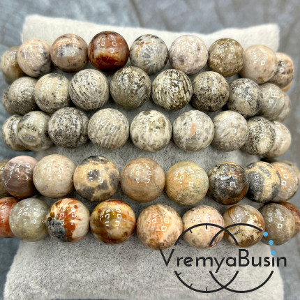 Коралл натуральный окаменелый, бусина шарик гладкий 10 мм (1/2 нити, ок. 19 шт.)
