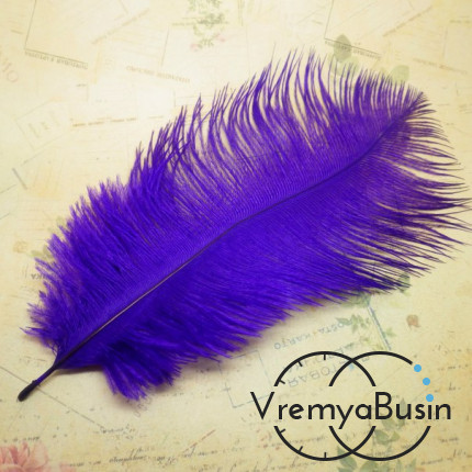 Перо страуса, цвет фиолетовый, длина около 20 см (1 шт.)