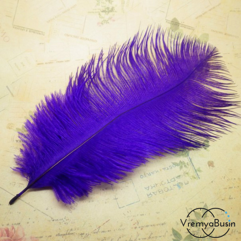 Перо страуса, цвет фиолетовый, длина около 20 см (1 шт.)
