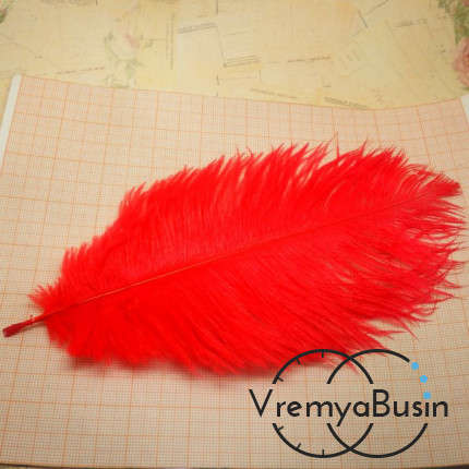Перо страуса, цвет красный, длина около 20 см (1 шт.)