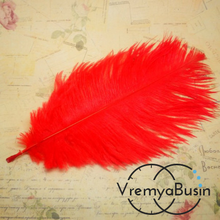 Перо страуса, цвет красный, длина около 20 см (1 шт.)