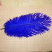 Перо страуса, цвет синий, длина около 15-20 см (1 шт.)