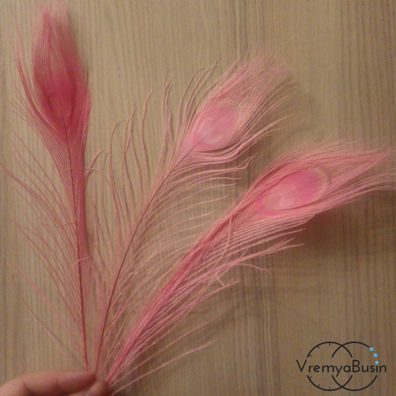 Перо павлина тонир., длина ок. 25 см, цв.  розовый        (1 шт.)