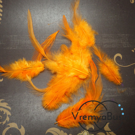 Перо петуха, цвет оранжевый, длина 10-15 см (1 шт.)