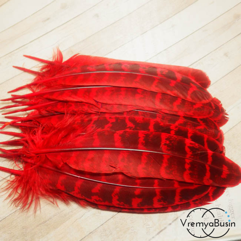Перо фазана, размер 10-15 см, цвет красный