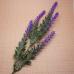 Ветка из пластика "Лаванда", 240 мм., цв. ФИОЛЕТОВЫЙ (1 шт.)