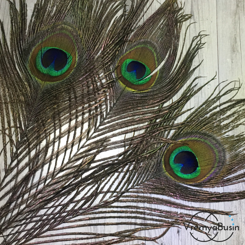 Перо павлина натур., длина ок. 28 см (1 шт.)