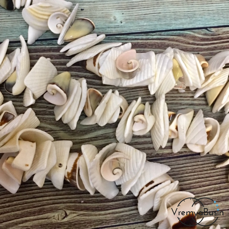 Сколы ракушек тонированные, цв. (нить 10 см.)