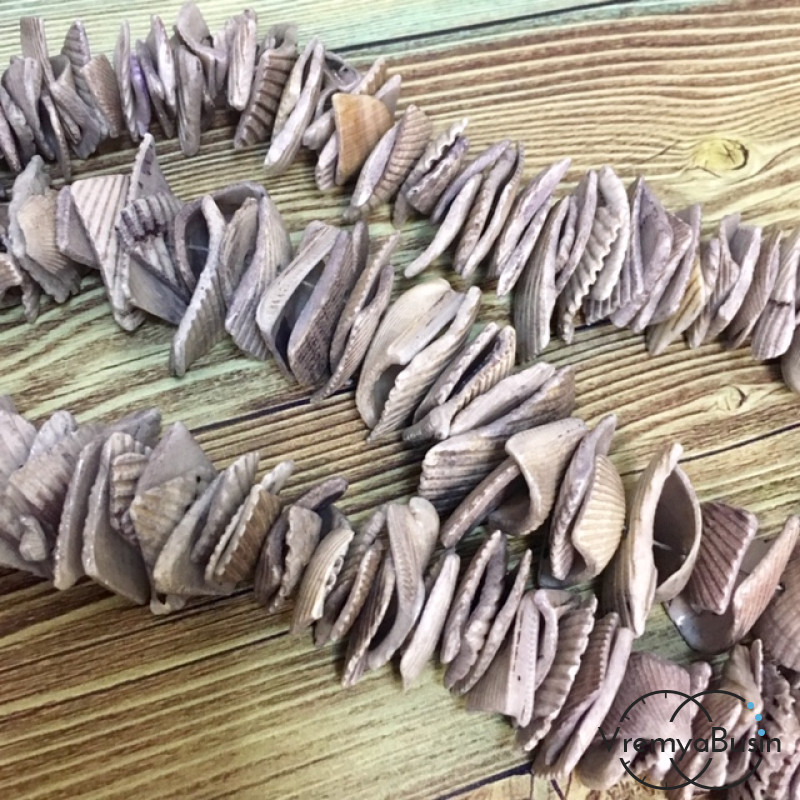 Сколы ракушек тонированные, цв. (нить 10 см.)