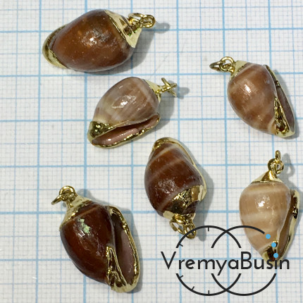 Подвеска "Ракушка" натуральная,  в металле цв. серебро (1 шт.)